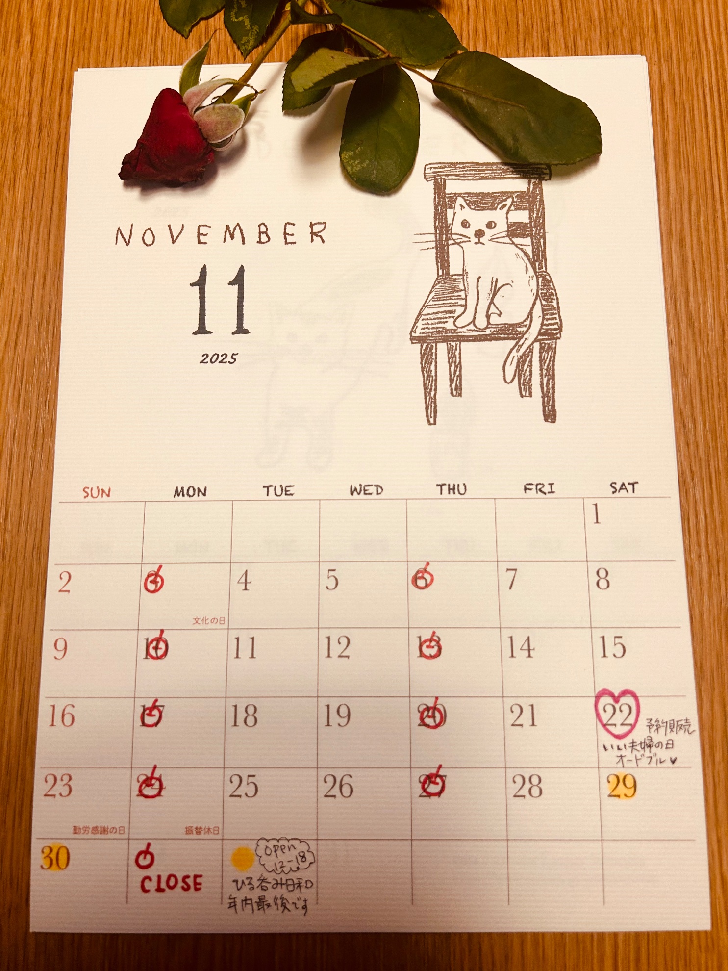 写真：11月の営業案内　及び　Instagramをご利用のお客様へ